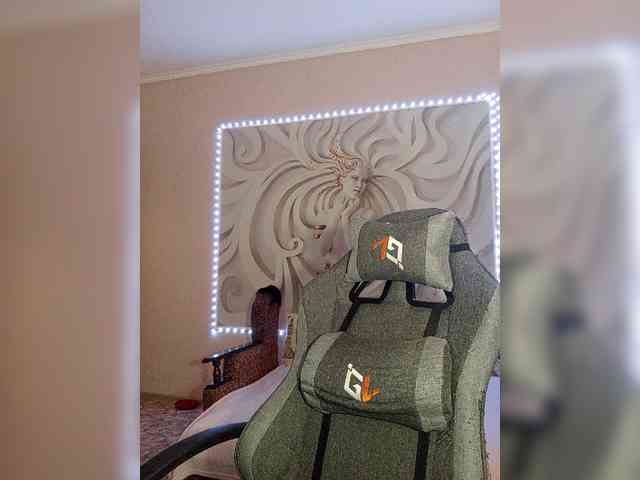 LediiFox webcam