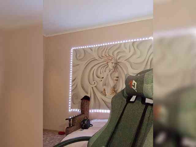 LediiFox webcam
