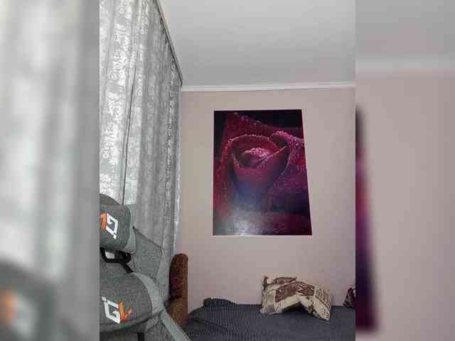 LediiFox webcam