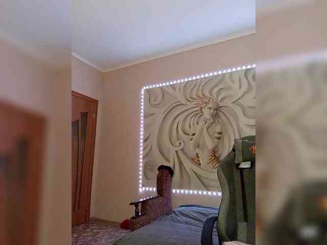 LediiFox webcam