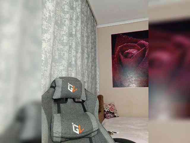 LediiFox webcam