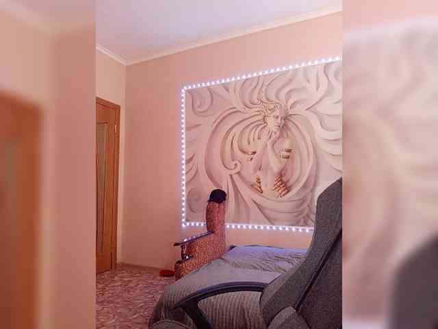 LediiFox webcam
