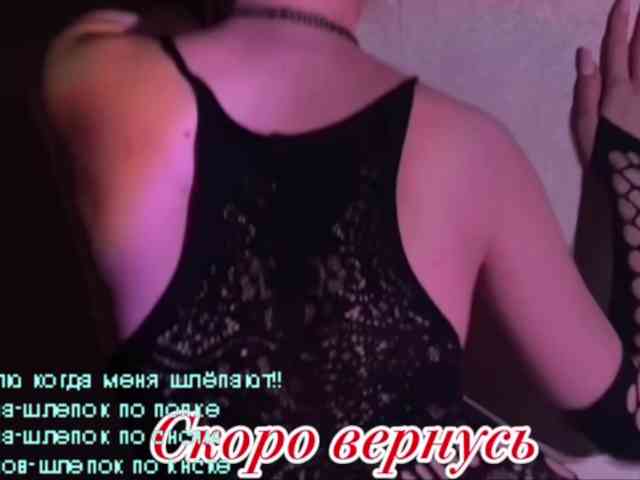 LediiFox webcam