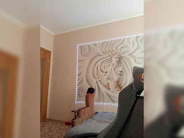 LediiFox webcam