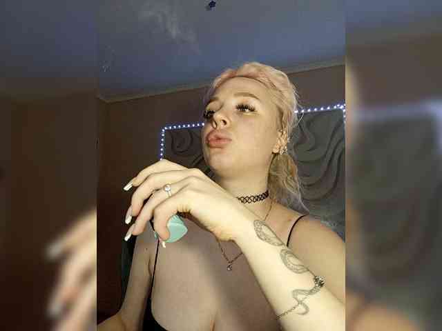 LediiFox webcam