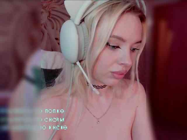 LediiFox webcam