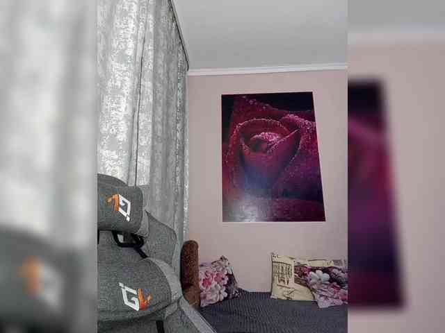 LediiFox webcam