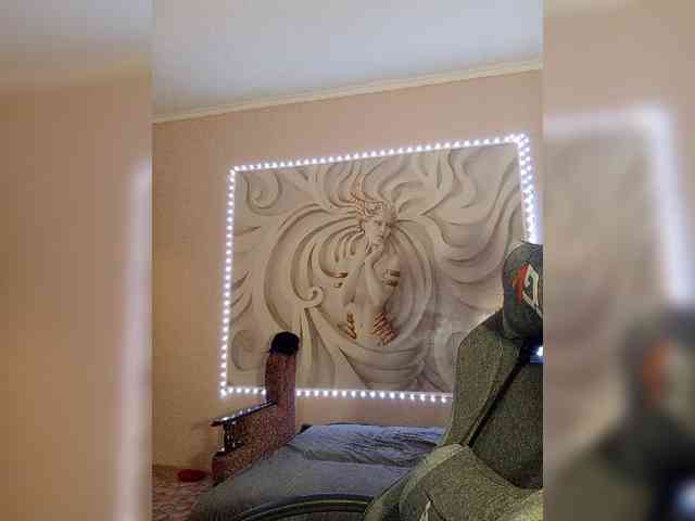 LediiFox webcam