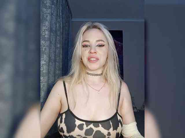 LediiFox webcam