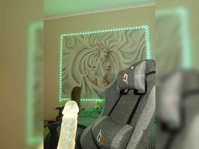 LediiFox webcam