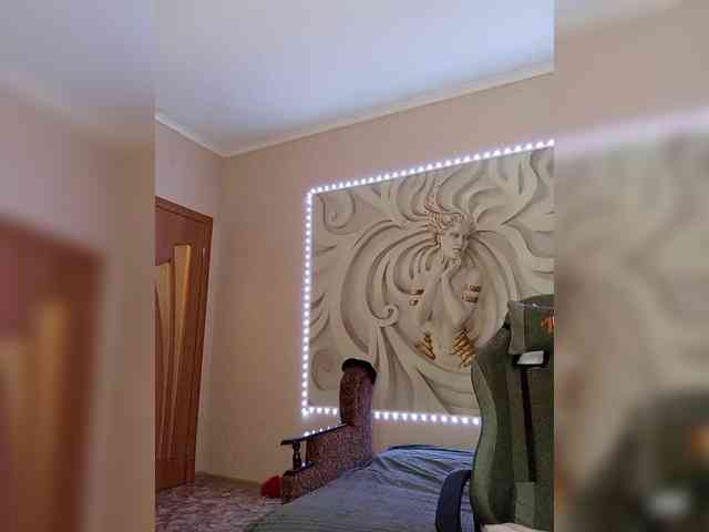 LediiFox webcam