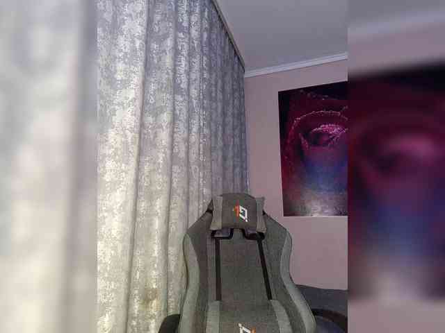 LediiFox webcam