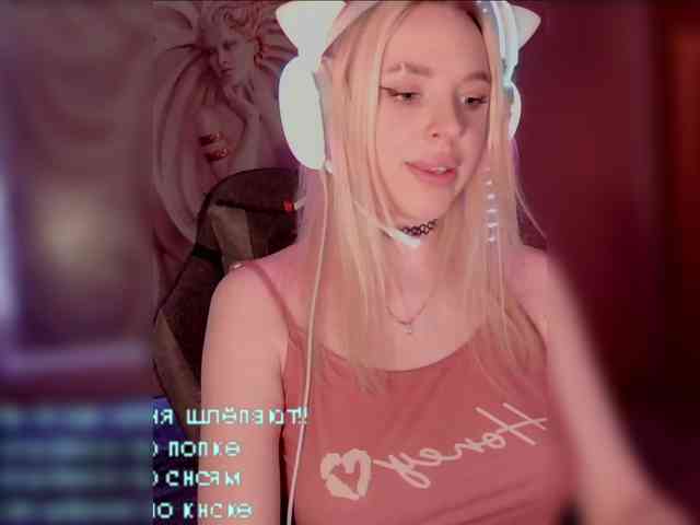 LediiFox webcam