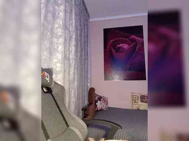 LediiFox webcam