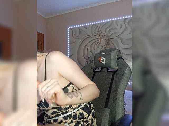 LediiFox webcam