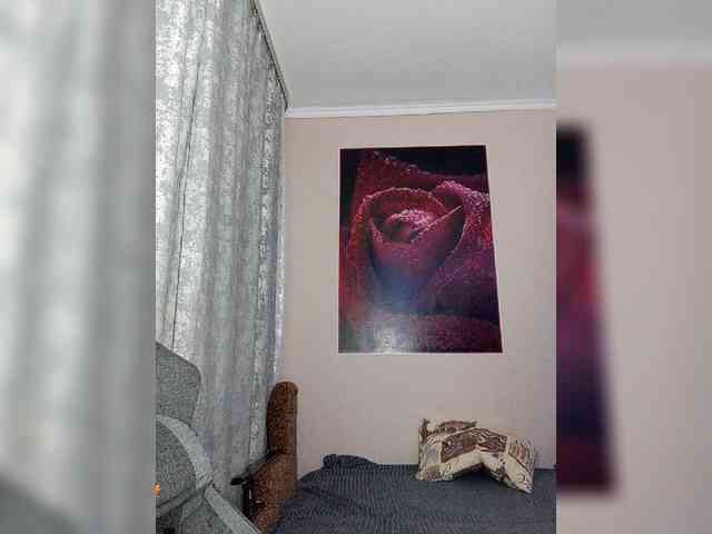 LediiFox webcam