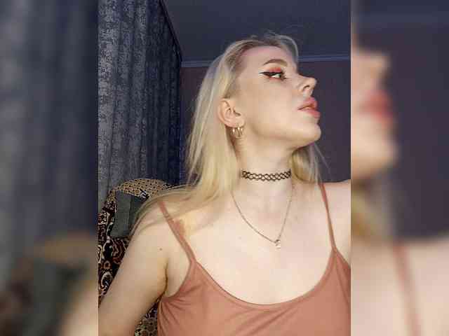 LediiFox webcam