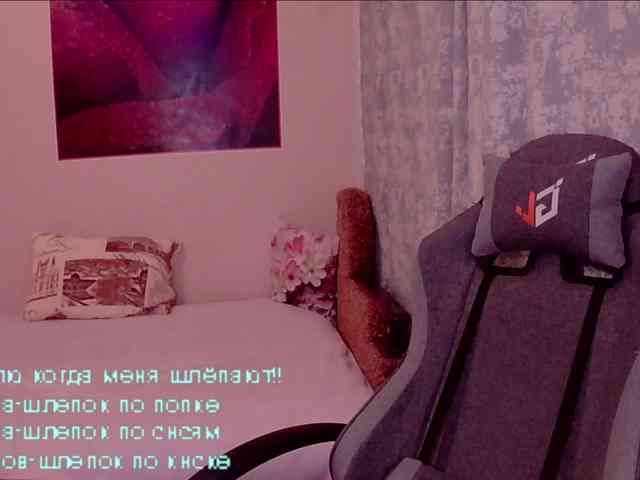 LediiFox webcam