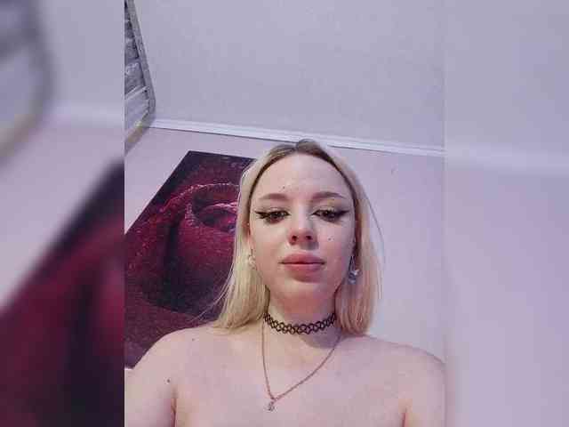 LediiFox webcam