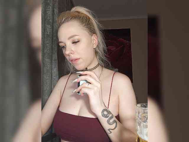LediiFox webcam