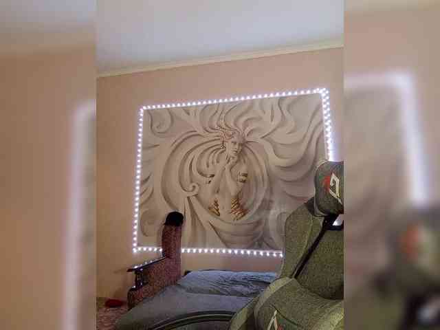 LediiFox webcam