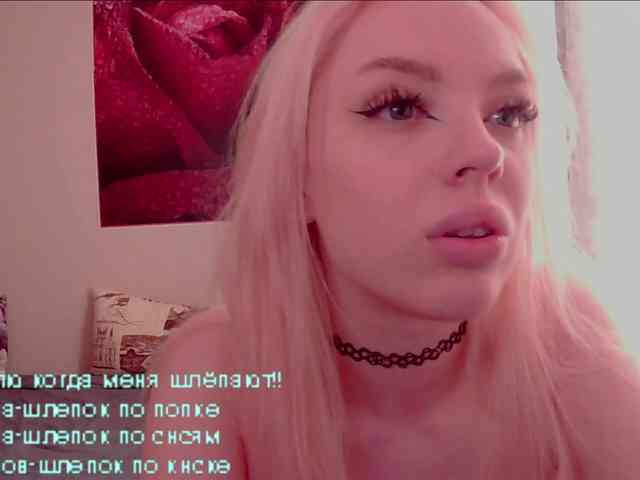 LediiFox webcam