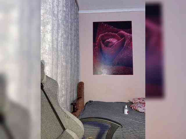 LediiFox webcam