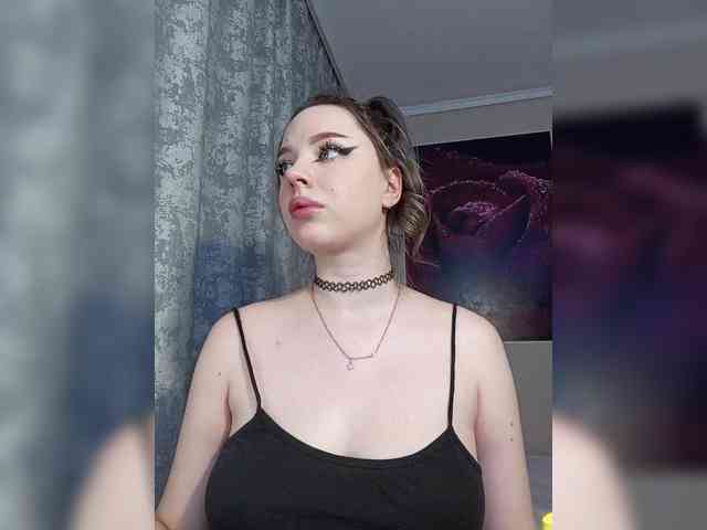 LediiFox webcam