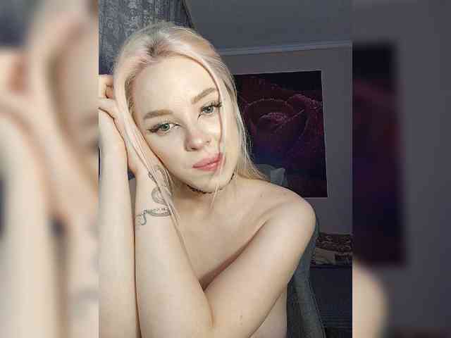 LediiFox webcam