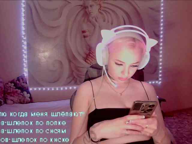LediiFox webcam