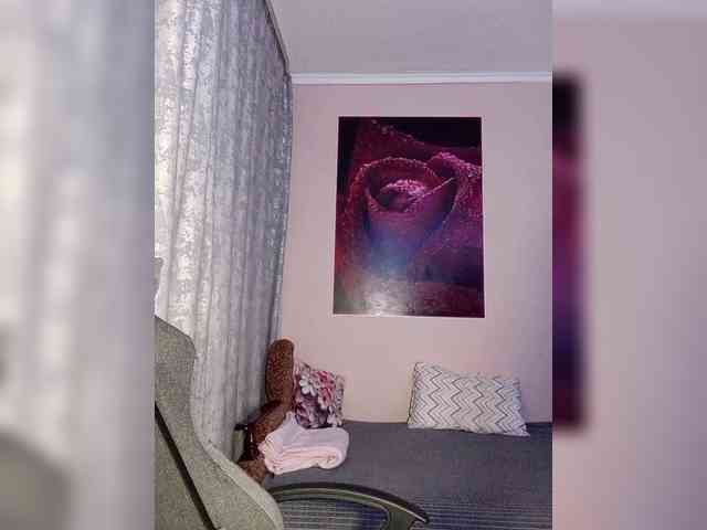 LediiFox webcam
