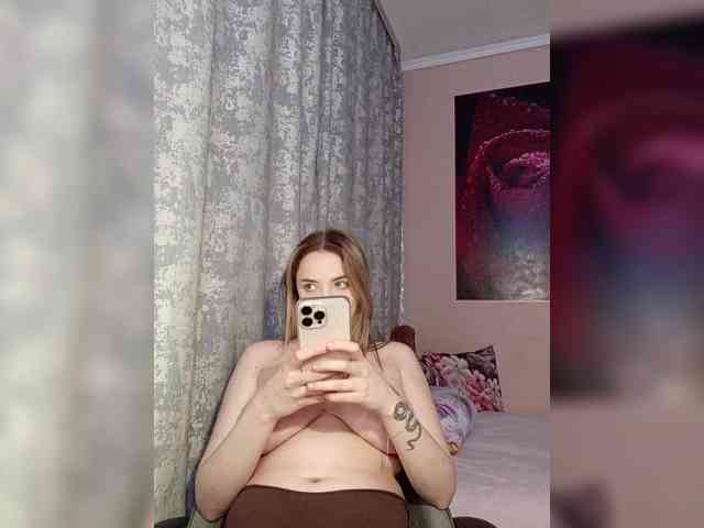 LediiFox webcam