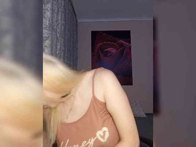 LediiFox webcam