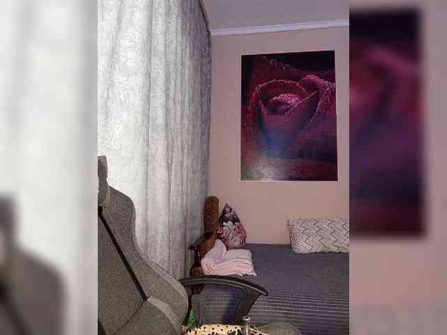 LediiFox webcam