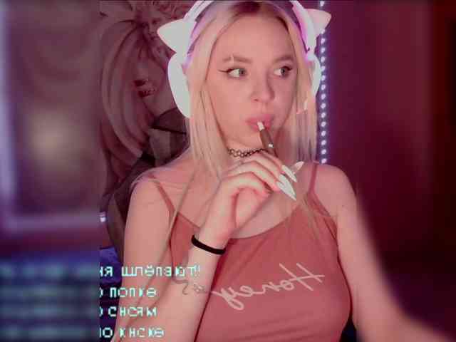 LediiFox webcam