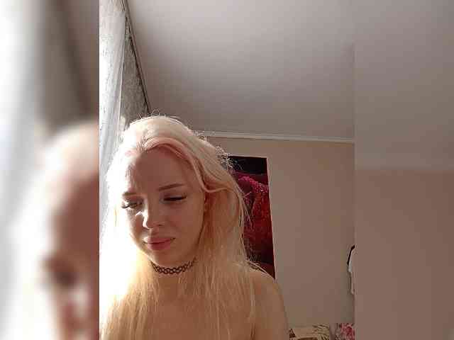 LediiFox webcam