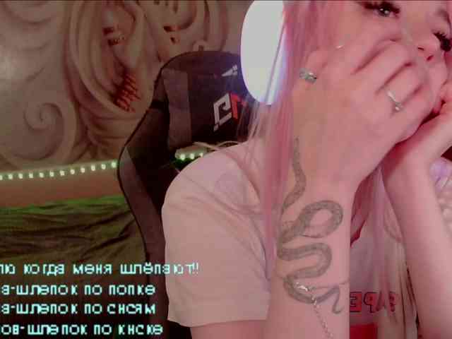 LediiFox webcam