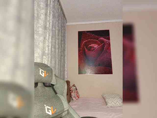 LediiFox webcam