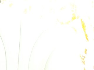 bonieklent's Live Webcam