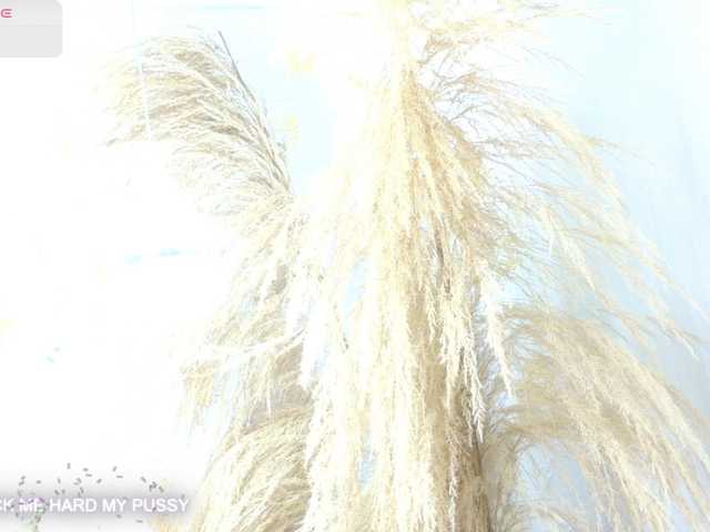 bonieklent live cam on BongaCams