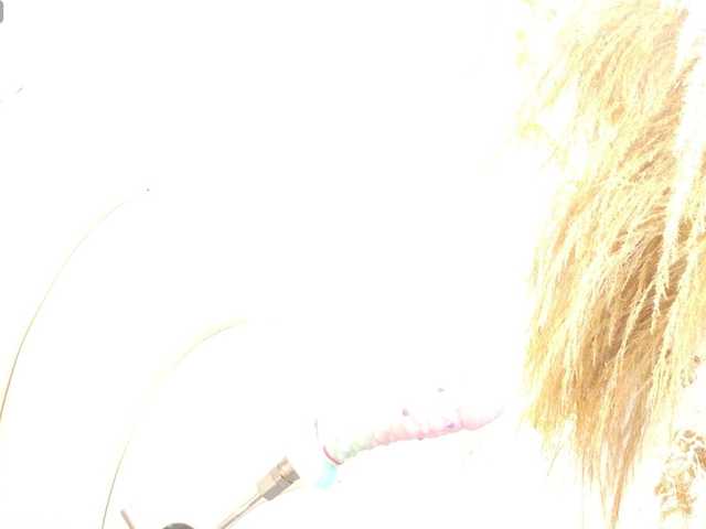 bonieklent live cam on BongaCams