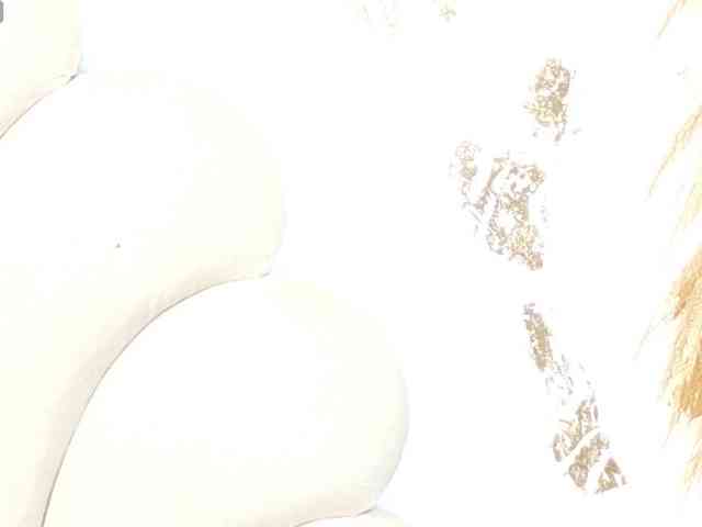 bonieklent webcam