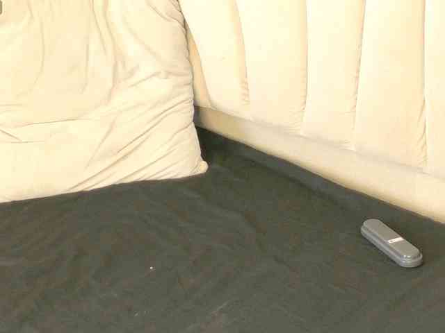 bonieklent webcam