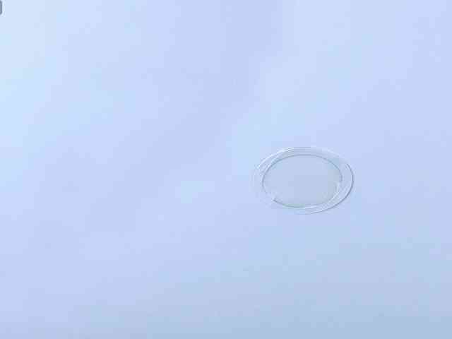 bonieklent webcam