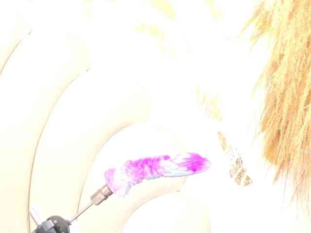 bonieklent webcam