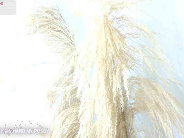 bonieklent webcam