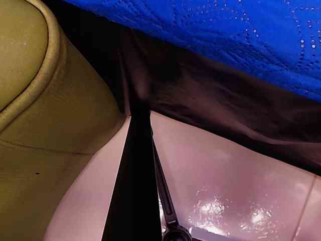 ssusy-ebony webcam