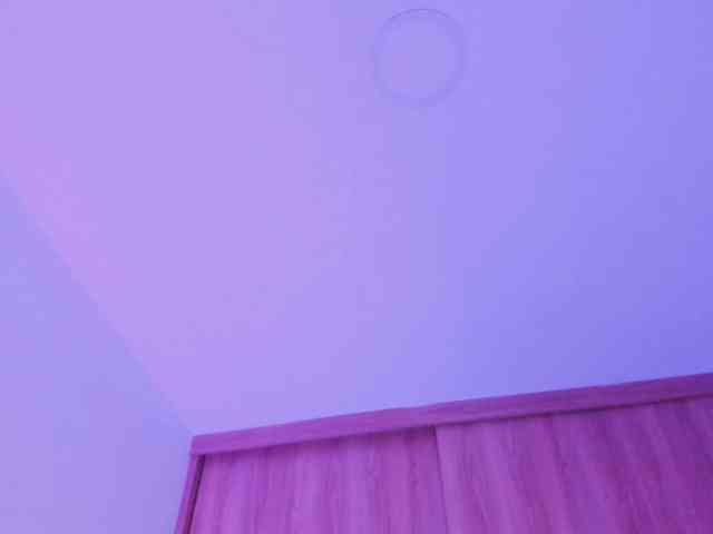 kiwi----- webcam