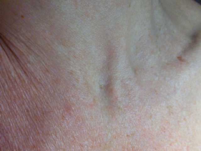 TerriRose