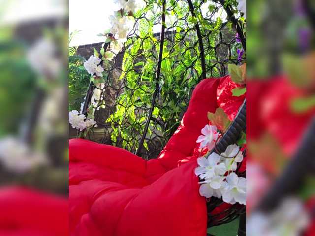 terrirose online